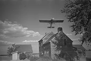 Average: Dusting plane hedge-hopping after spraying swath on beanfiel