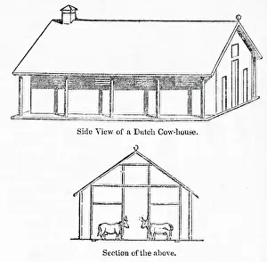 Laycock: Dutch cow house at Laycock's Dairy, Islington, North London