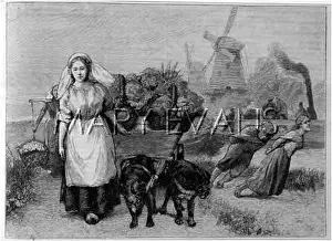 Muzzled: DUTCH DOG CART