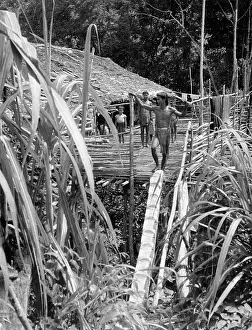 Longhouse: DYAK LONGHOUSE
