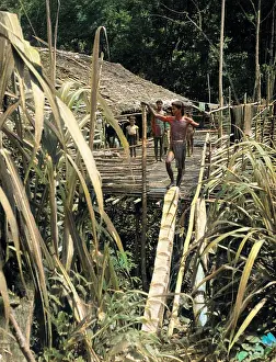Longhouse: DYAK LONGHOUSE