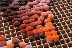 Chromatic: Dyeing and colour workshop, Les Gobelins, Le Mobilier