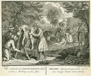 Urine: DYING MAN, SACRED COW
