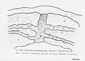 Diagram: A Dyke of Basalt (A) Piercing Triassic Sandstone