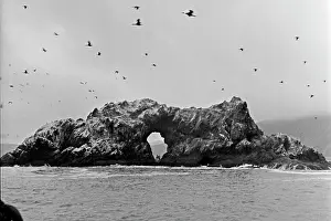 Muravin: Dyryavy Kamen Rock in Pacific Ocean