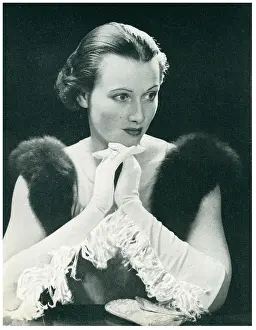 Dingle: E. Dingle & Co Advertisement Photograph