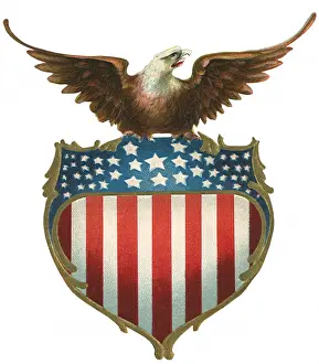 Icons: Eagle Atop Shield
