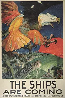Daugherty: Eagle Over Battleships