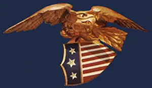 Talons: Eagle Carrying Shield