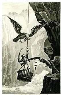 1838: Eagle Egg Hunting - Attempt to rob the Aerie