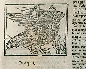 Valerius: Eagle. Epigrams by Martial