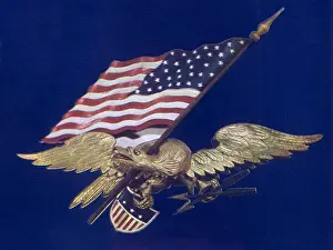 Talons: Eagle with Flag and Shield