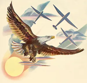 Gliders: Eagle and Gliders