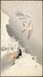 Drift: An eagle hunting a hare