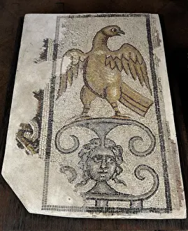 Rockefeller: Eagle and Medusa Head. Mosaic floor. Synagogue at Yafia, Low