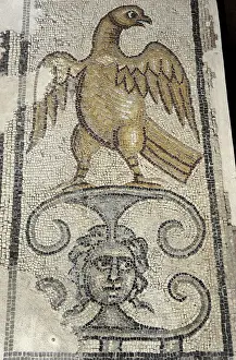 Rockefeller: Eagle and Medusa Head. Mosaic floor. Synagogue at Yafia, Low