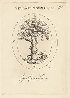 Black Agate: Eagle on its nest battling a snake in a tree