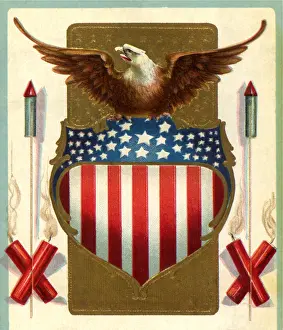Eagle Perched on the Stars and Stripes
