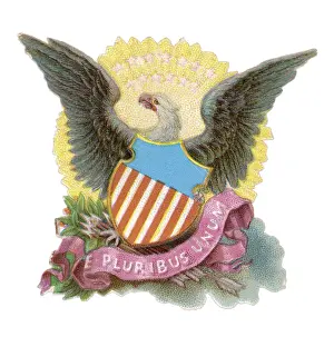 Wouldn T: EAGLE AS Us SYMBOL