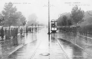 Soggy: Ealing Common, Ealing, London