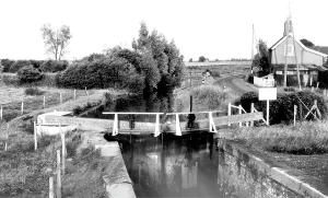The Francis Frith Collection: Earith, Lock Gates c1955