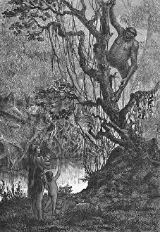Palaeolithic: EARLIEST MAN