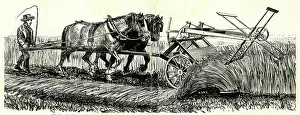 Invented: Earliest practical reaper harvester