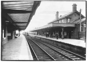 Earlswood: EARLSWOOD STATION - 1910
