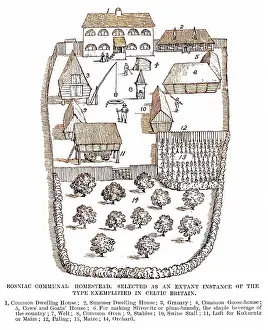 Homesteads: EARLY BRITISH HOMESTEAD