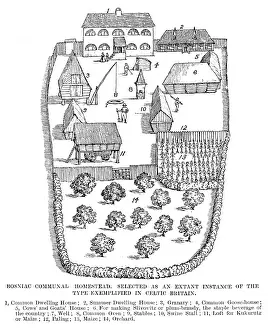 Homestead: EARLY BRITISH HOMESTEAD
