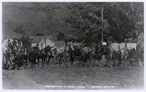 Modoc: Early days of freighting, Modoc County, California, USA
