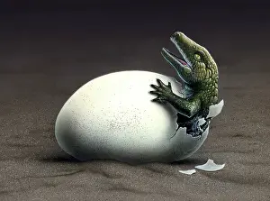 Labyrinthodont: An early dinosaur ancester, Seymouria, hatches from an egg