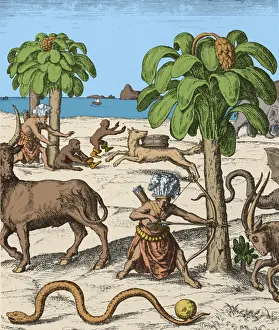 Apes: Early Exploration