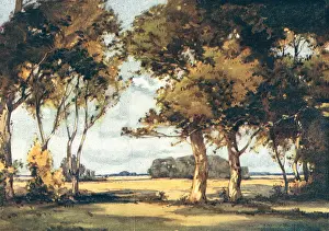 Expansive: Early Morning, Autumn
