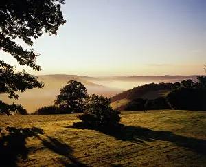Gunnislake: Early morning mist, Tamar Valley, Cornwall