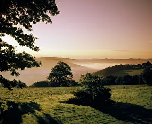 Gunnislake: Early morning mist, Tamar Valley, Cornwall