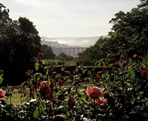 Mists: Early morning mists, River Tamar valley, Cornwall