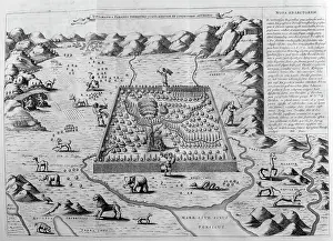 Itself: Early Paradise, from Arca Noe, (building the ark)