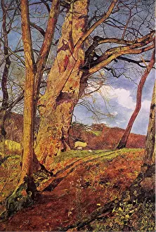 Roots: In Early Spring