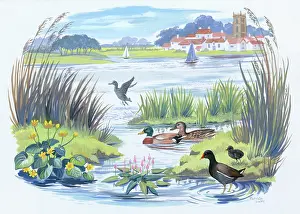 Caley: Early Summer River Scene