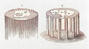 Conceived: Early view of the world