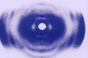 Crystallography: Early X-ray of DNA