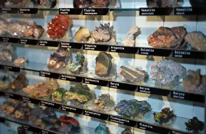 Ammonite: The Earth Lab