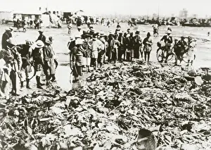 Erdbeben: Earthquake Japan 1923