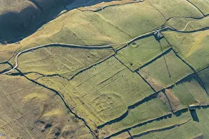 Earthwork: Earthwork remains of probable Iron Age hut circle settlement