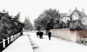 Grinstead: East Grinstead, Lewes Road 1907