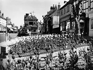 Grinstead: EAST GRINSTEAD/SUSSEX
