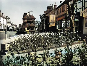 Grinstead: EAST GRINSTEAD/SUSSEX
