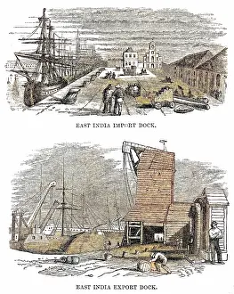 Importing: East India Import and Export Docks, London