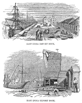 Importing: East India Import and Export Docks, London